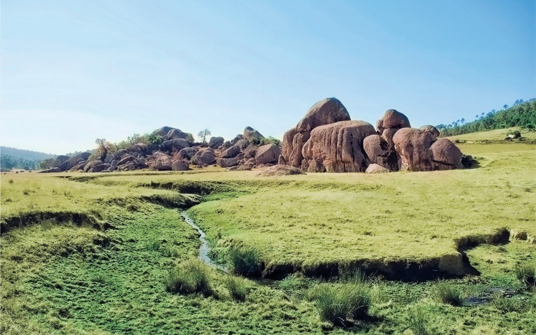 Explora Jalisco, la plataforma que te ayuda a descubrir Jalisco como nunca imaginaste