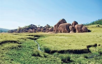 Explora Jalisco, la plataforma que te ayuda a descubrir Jalisco como nunca imaginaste